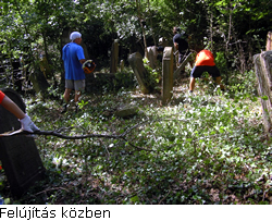sziget20607.jpg