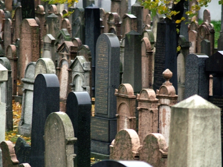 Csörsz 6 web.JPG