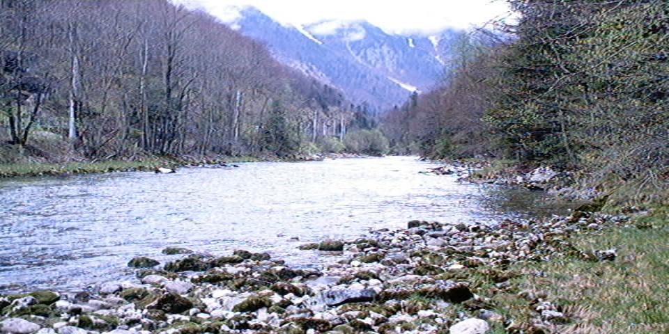 traun.jpg