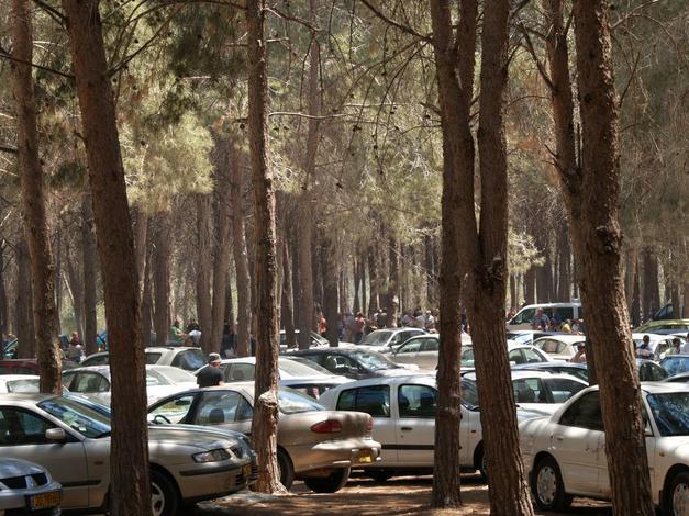 kerem-ben-shemen_ cars.jpg