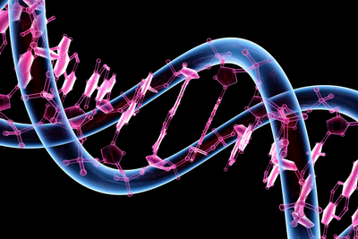 Genetics