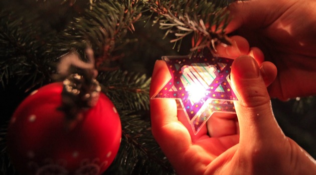 Hanukkah Bush