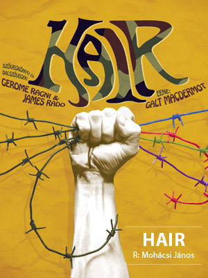 Hair plakát