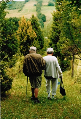 A szerző